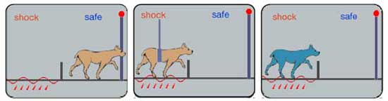 Learned Helplessness