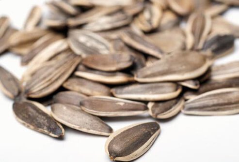 A pile of sunflower seeds.