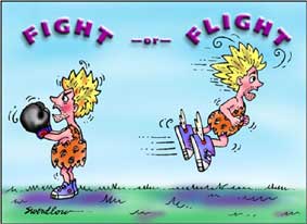 Fight or Flight Response