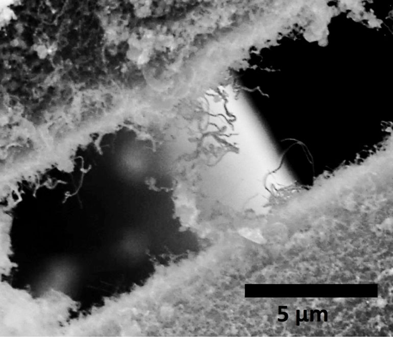 nanotubes and carbide fibers